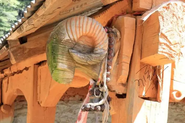 भेडाको आकृति