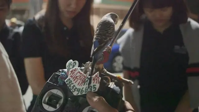 รีโมตคอนโทรล เพื่อสร้างความสนุกสนาน