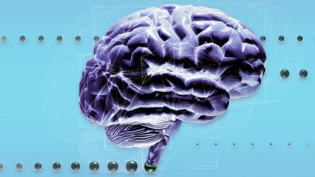 Мозок людини