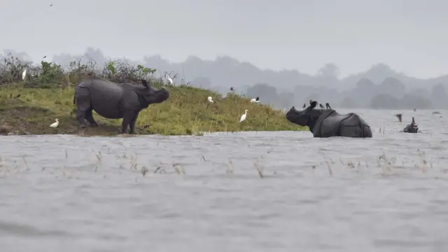 असम में बाढ़