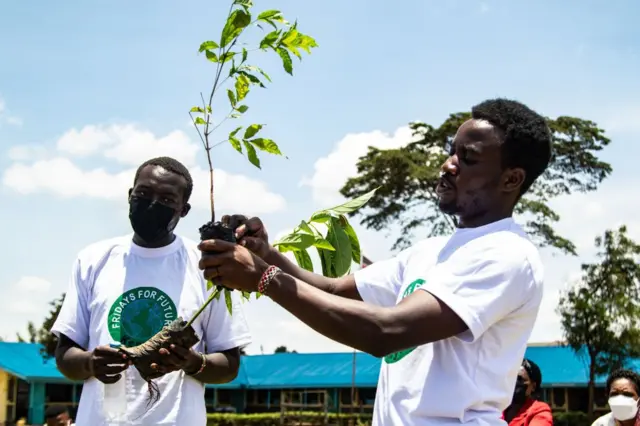 Nyamrinda Obam, di organizer of Fridays For Future Nakuru dey do tree planting campaign