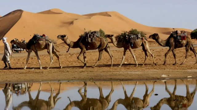 Alamar ambaliyar watan da ya gabata a cikin Hamadar Sahara a kudu maso gabashin Moroko ranar Lahadi