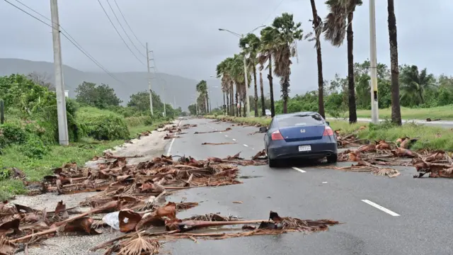 Niebieski samochód jedzie drogą z resztkami drzew pozostawionymi przez huragan Melissa w Kingston na Jamajce