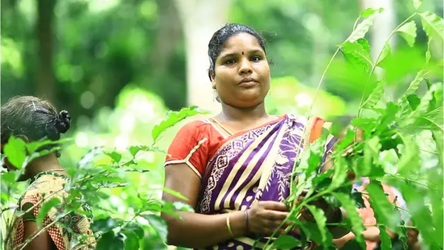 అరకు టీ, మహిళ