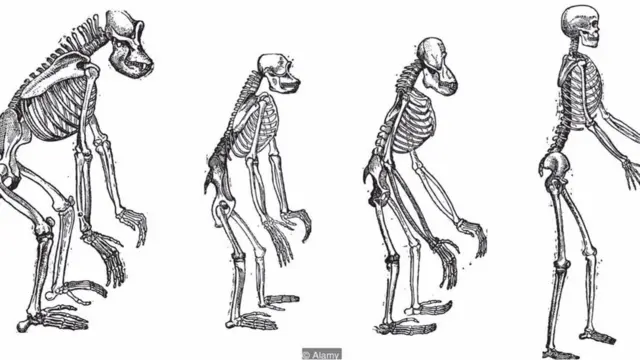 O sociólogo Herbert Spencer aplicou a teoria da evoluçãobets bola é confiávelDarwin às mudanças da sociedade ao longo do tempo