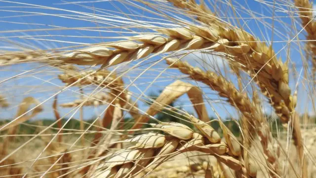 синє