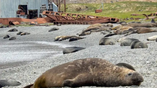رحلة إلى المكان الأكثر عزلة على كوكب الأرض