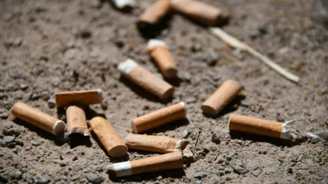 தூக்கியெறியும் சிகரெட் துண்டுகள் தாவரத்தின் வளர்ச்சியை தடுக்கும்