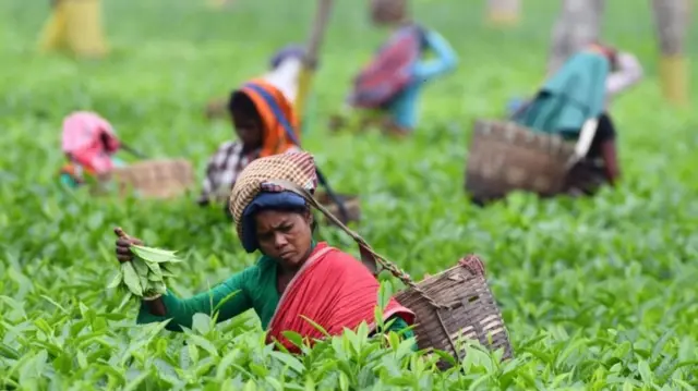 هند تا کنون رقمی معادل ۲۳ میلیارد دلار کمک مالی در قالب پرداخت مستقیم به افراد کم بضاعت معرفی کرده است