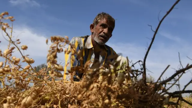 પ્રતીકાત્મક તસવીર
