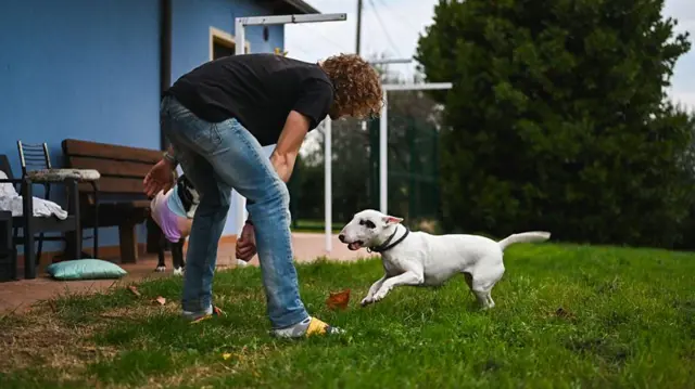 Pessoa brincando com dois cachorros no jardim