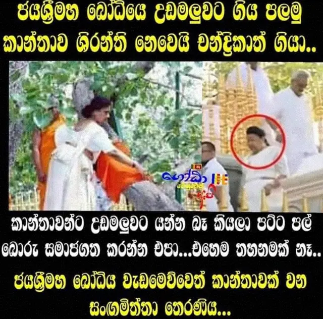 සමාජ ජාල තුළ පළ වූ අදහස්