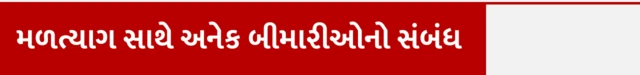 મળત્યાગ સાથે અનેક બીમારીઓનો સંબંધ, મળત્યાગ ક્યારે કરવો જોઈએ, મળના પ્રકાર, મળત્યાગ અને બીમારીઓ વચ્ચે સંબંધ, મળત્યાગ અને આંતરડાનો સંબંધ, મળત્યાગની આદતો, શું કરવાથી કબજિયાત ન થાય, કબજિયાત, બીબીસી ગુજરાતી સાથે સમજો, બીબીસી ન્યૂઝ ગુજરાતી, બીબીસી ન્યૂઝ