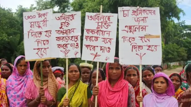 গত ৯ই অগাস্ট থেকে দৈনিক মজুরি ১২০ টাকা থেকে বাড়িয়ে ৩০০ টাকা করার দাবিতে আন্দোলন শুরু করে চা বাগানগুলোর প্রায় দেড় লাখ শ্রমিক।