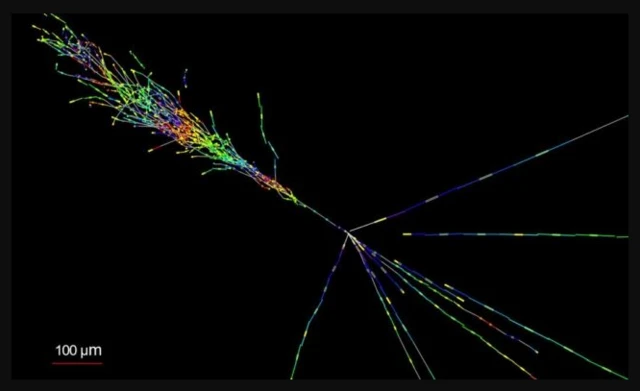 ร่องรอยของการชนอนุภาค ซึ่งเกิดจากเหตุการณ์ที่มีลักษณะตรงกับการผลิตอิเล็กตรอนนิวทริโน