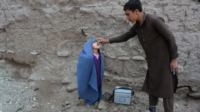 ګوزڼ واکسین