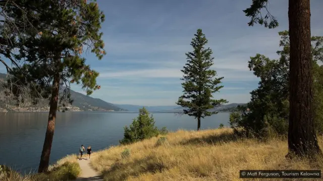 Lago Okanagan