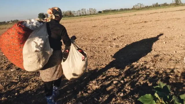 Тимур Карпов олган сурат