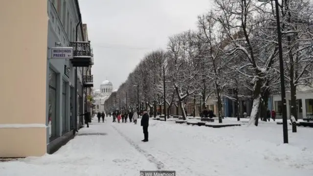 Litva dili artıq əyalət dili hesab edilmir