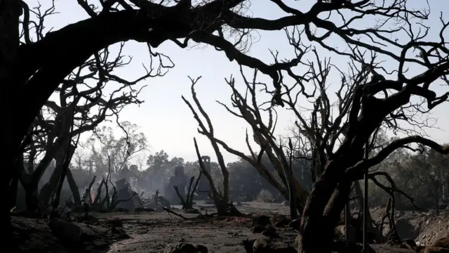 Лісова пожежа у Каліфорнії