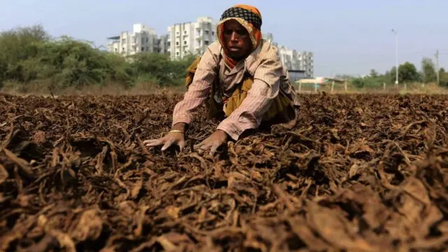 ખેડૂતની પ્રતીકાત્મક તસવીર