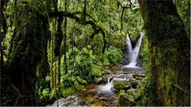 La population locale espère que les pistes et les camps revitalisés inciteront les touristes à revenir dans la région