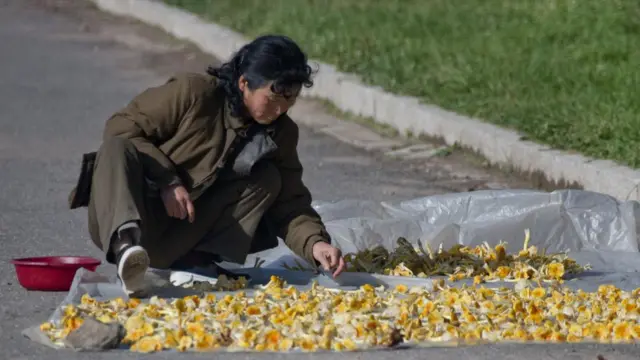 길 위에서 버섯을 말리고 있는 북한 주민