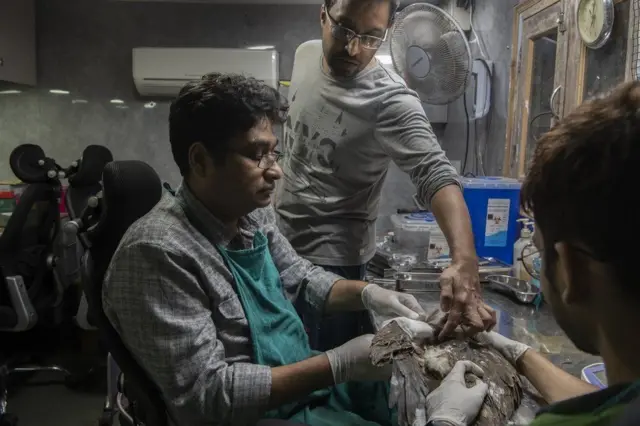 चराको उपचार