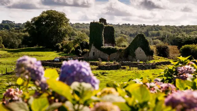 sinterklas, santa klaus, natal, legenda natal, irlandia