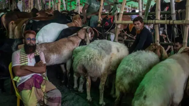 কোরবানির হাট