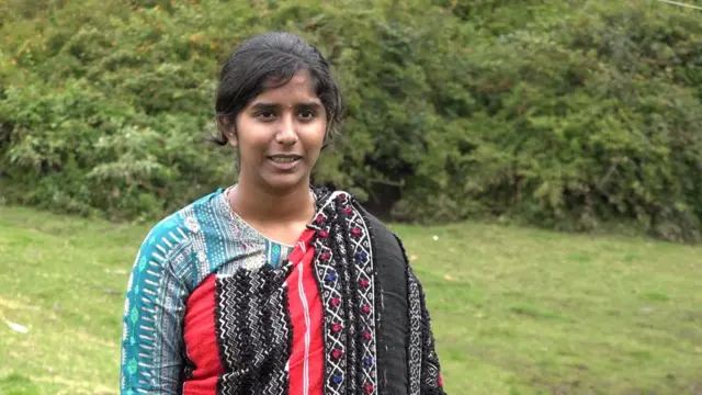 நீலகிரி, தோடர், எருமை