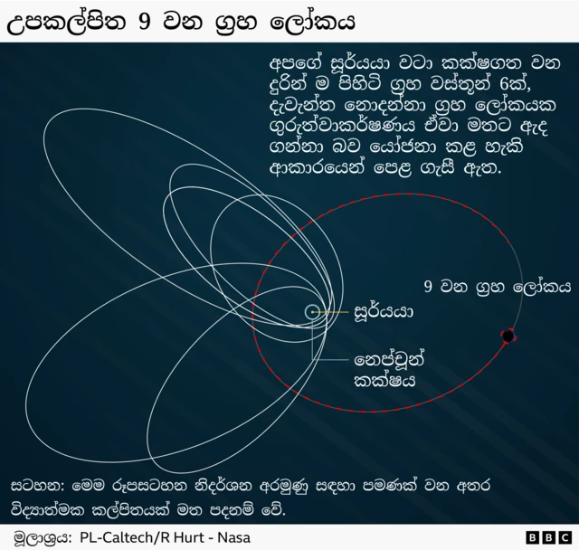 A graphic with a dot in the centre representing the Sun, and the circular orbit of Neptune close around it. Six much larger, elliptical orbits are shown in white, coming closer to Neptune at one end and extending very far beyond Neptune at the other. The orbit of a hypothetical Planet Nine is shown as a dotted red line, crossing the paths of the six white orbits but staying relatively far away from Neptune.