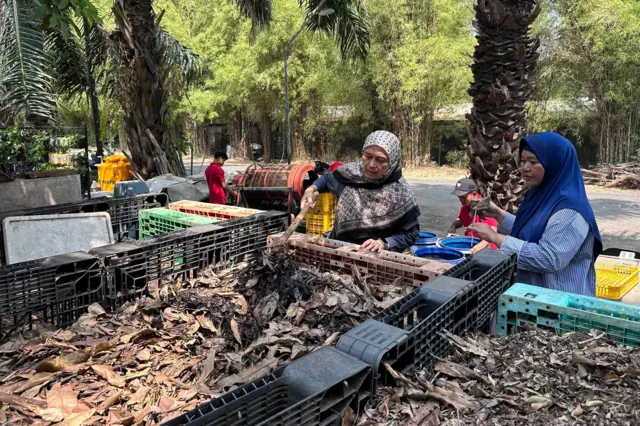 Shanty dan rekan di taman kompos, sedang memeriksa lapis demi lapis sampah dapur dan taman.