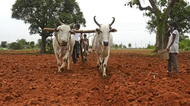 భూభారతి బిల్లుకు తెలంగాణ అసెంబ్లీ ఆమోదం