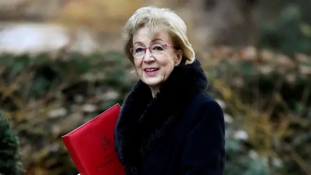 Andrea Leadsom