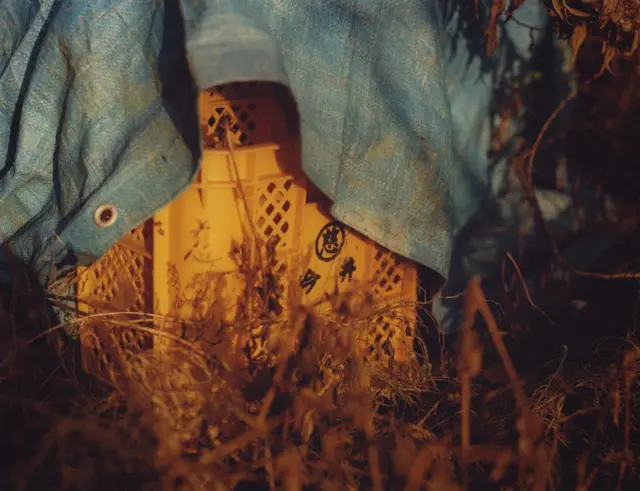 A box covered by a tarpaulin