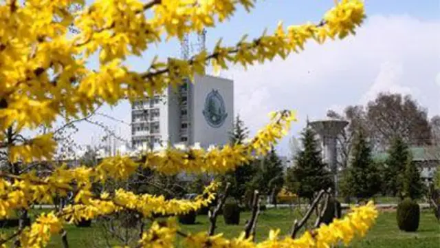 कश्मीर यूनिवर्सिटी 