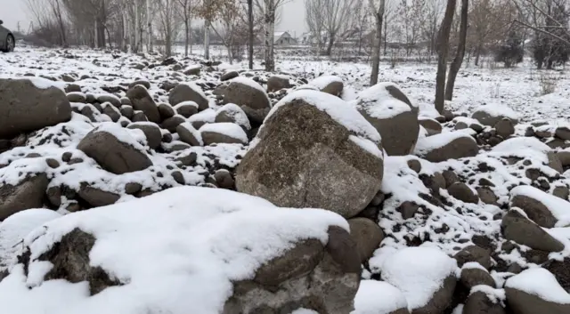 Ак Өргө. Тигилген көчөттөрдү түп орду менен алып, ордуна ушундай таштар төгүлүптүр