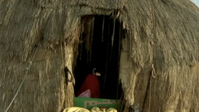 Aqal Hooriga ay deggan tahay Sacdiya