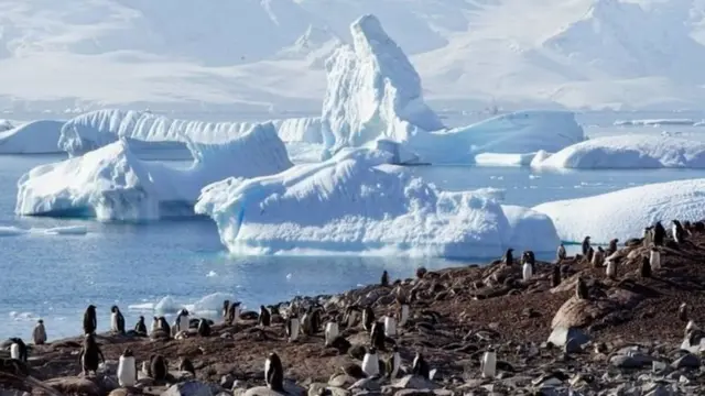 हवामान बदल, निसर्ग, पर्यावरण