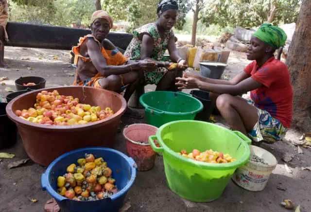 Trois femmes assises à côté des bassines remplies de noix de cajou.