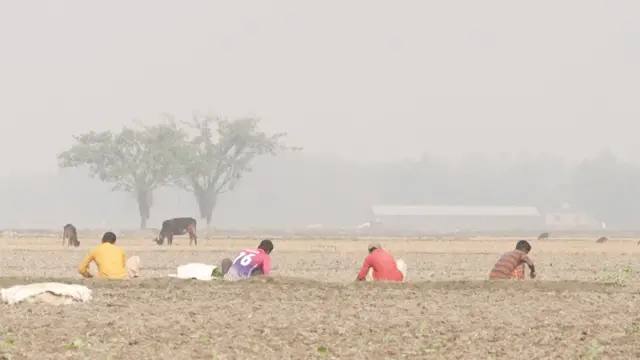উন্মুক্ত পদ্ধতিতে কয়লা খনি হলে কৃষি জমি, জনবসতি এবং পরিবেশের ক্ষতির আশঙ্কা রয়েছে 