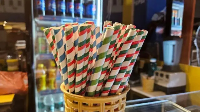 ప్లాస్టిక్ వ్యర్థాలు 