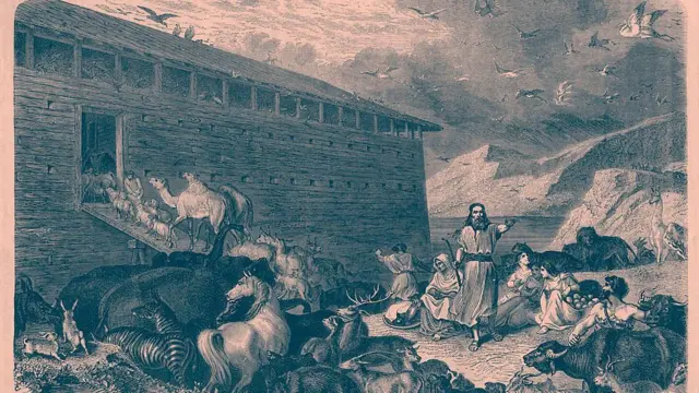 নূহের নৌকা