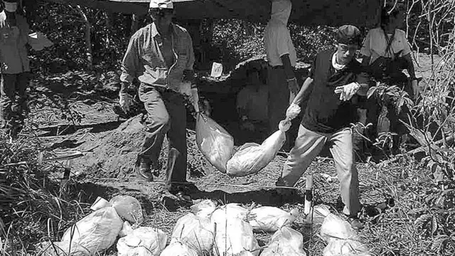 Pemakaman massal, Suai 1999