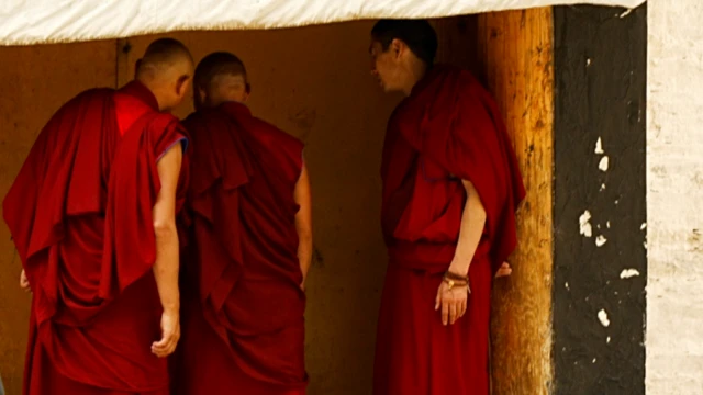 Three monks stand in a row in red robes talking among themselves, their faces turned away from the camera Three monks stand in a row in red robes talking among themselves, their faces turned away from the camera