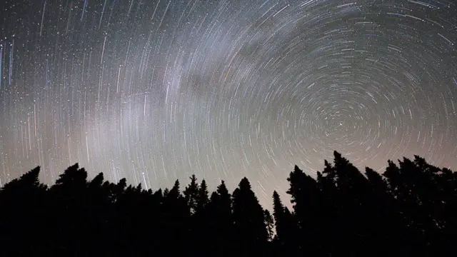 Estrellas fugaces en el cielo sobre árboles