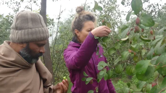 ਲਿਲੀ ਅਤੇ ਵਿਮਲ