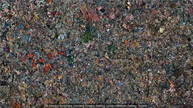 2017年，印度尼西亞科莫多國家公園，Pengah Wall＃1。