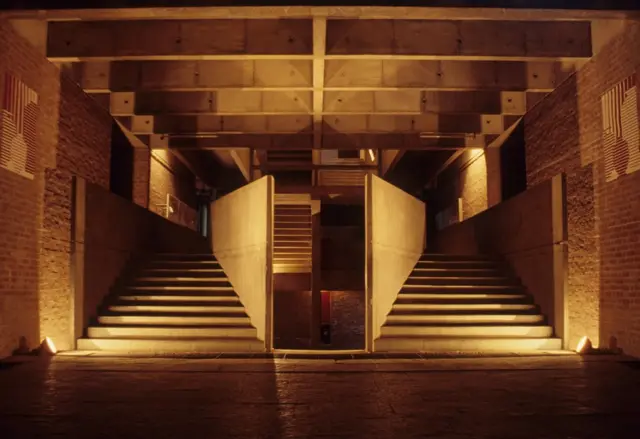 బాలకృష్ణ దోషి